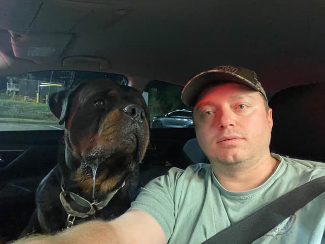 Rottweiler Puppies media 3