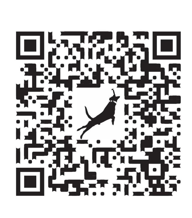 Labrador retrievers American Field Trial bred with Bird dog Hall blood media 3