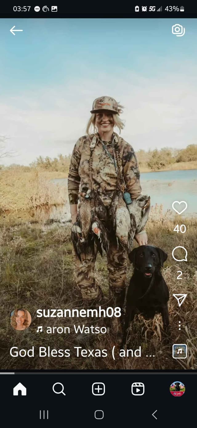 Labrador retrievers American Field Trial bred with Bird dog Hall blood media 7