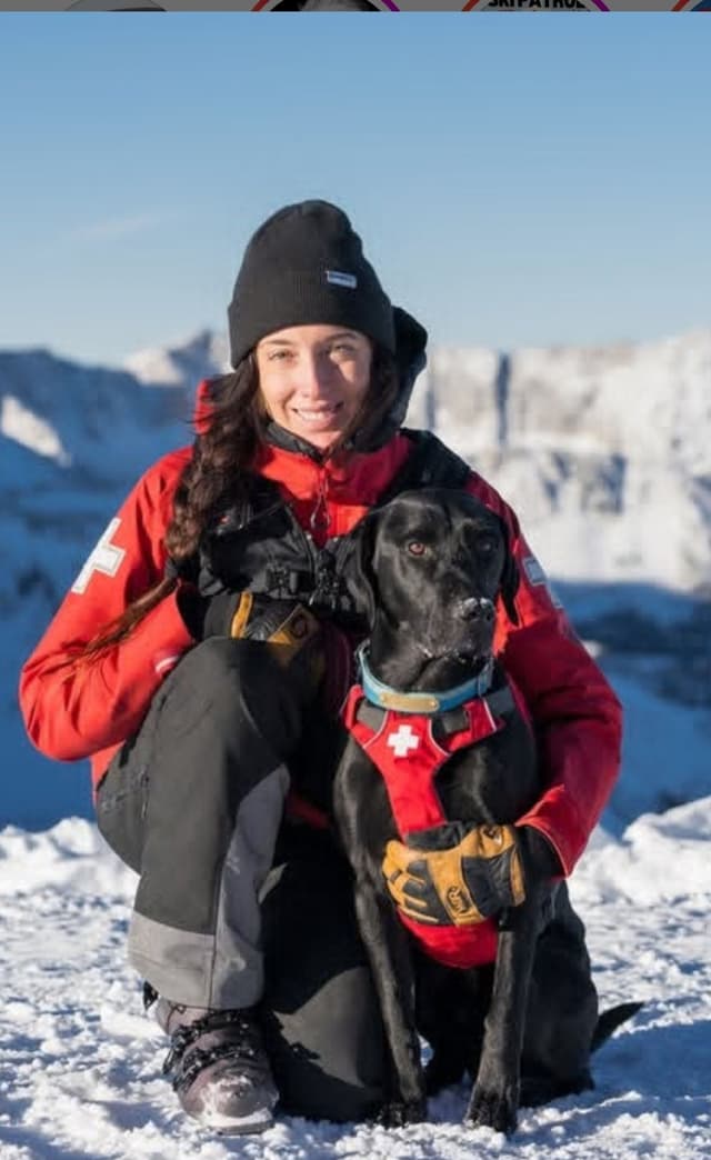 Labrador retrievers American Field Trial bred with Bird dog Hall blood media 9