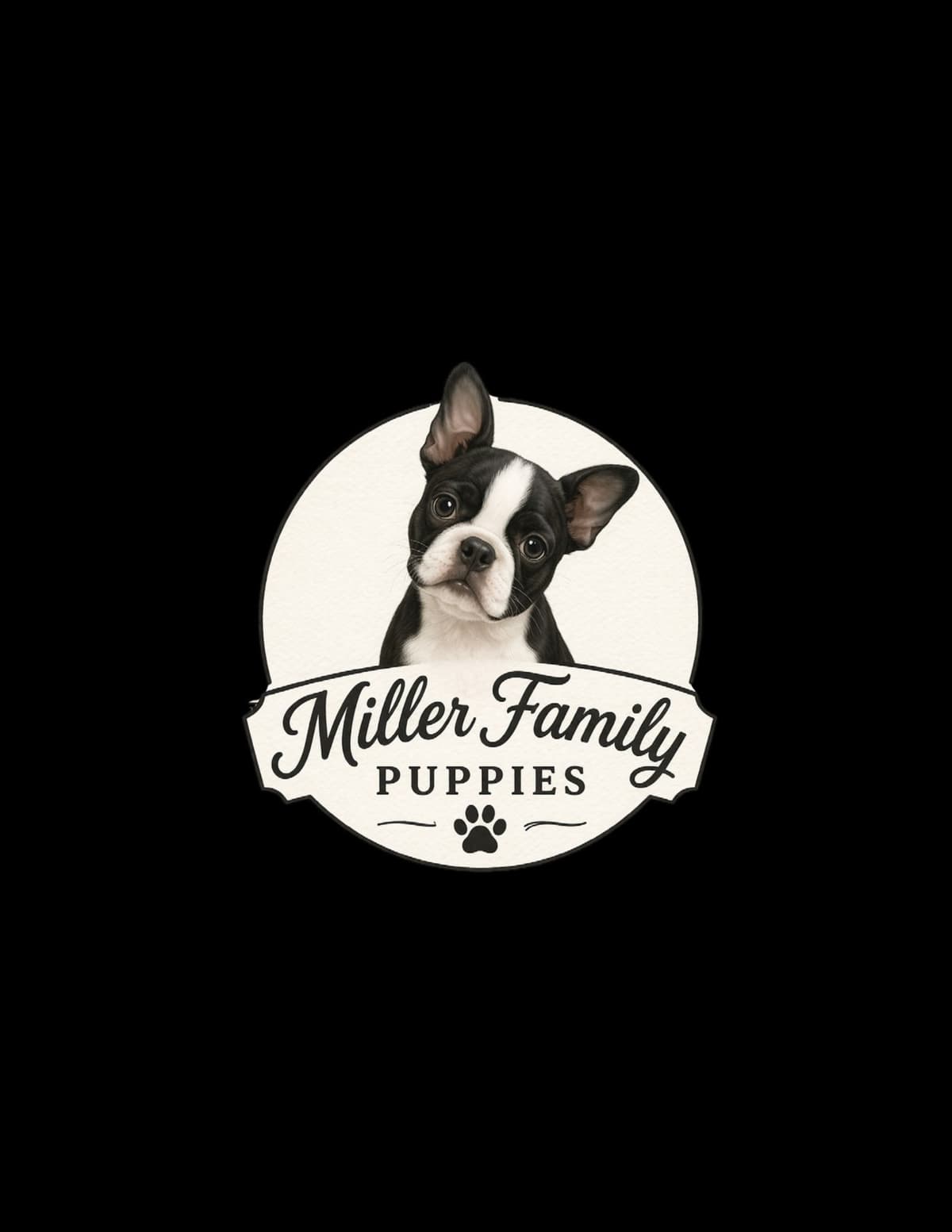 Boston Terrier Puppies breeder image 1