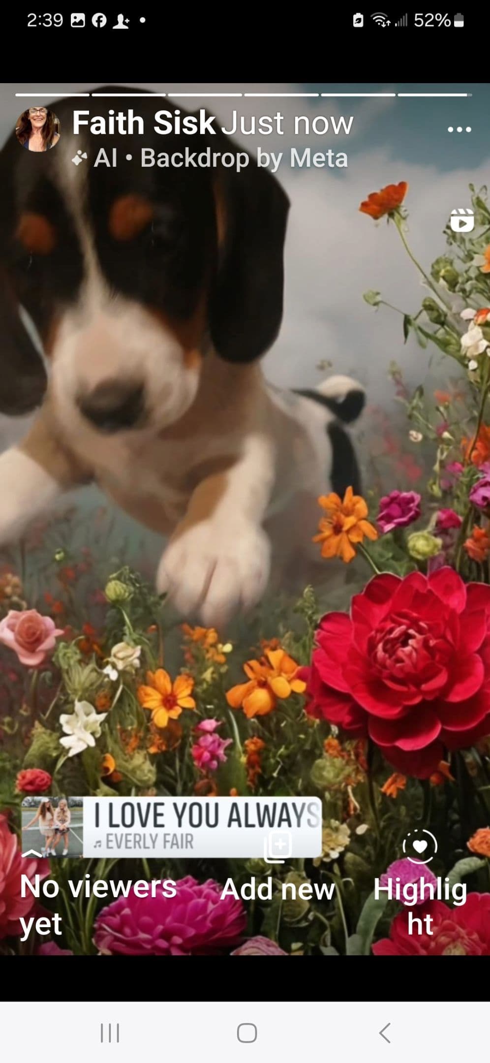 German Shepherd Dog Puppies breeder image 9