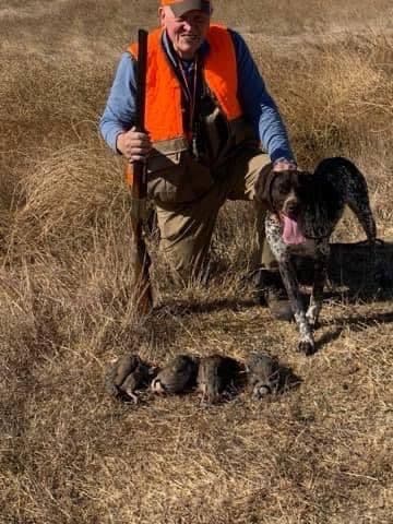 German Shorthaired Pointer Puppies breeder image 11