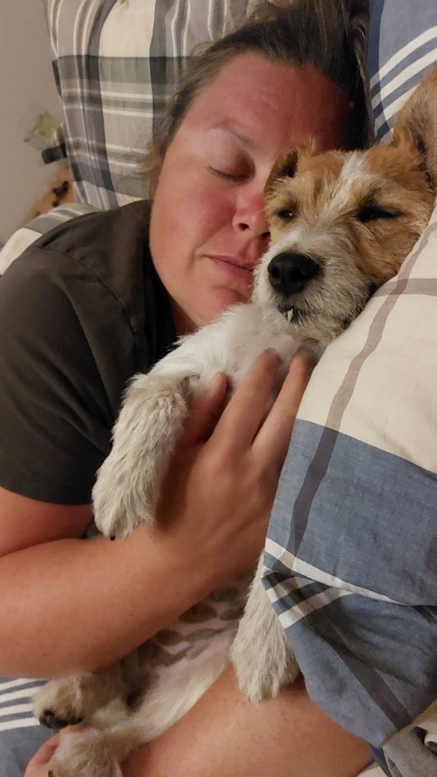 Parson Russell Terrier Puppies breeder image 9