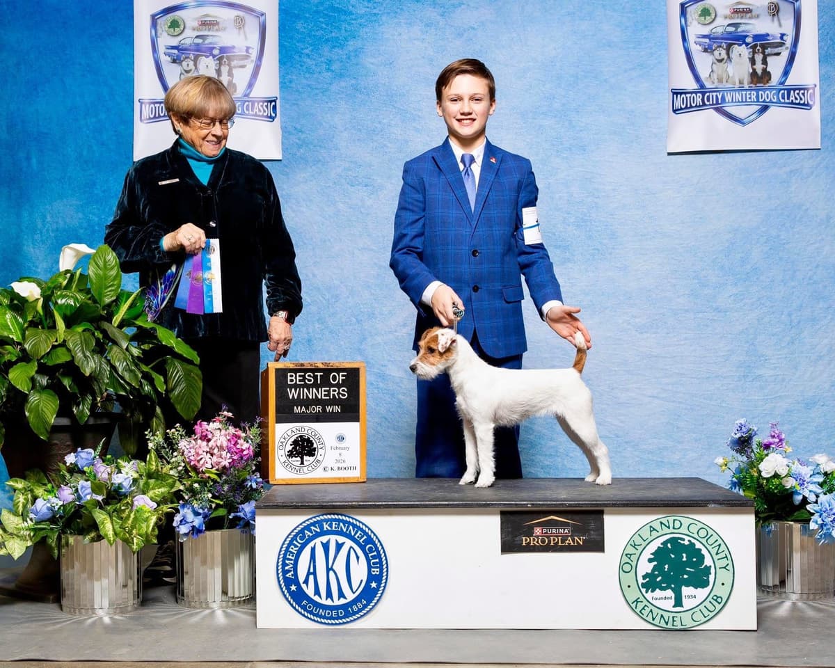 Parson Russell Terrier Puppies breeder image 6