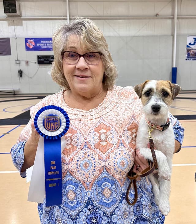 Parson Russell Terrier Puppies media 11
