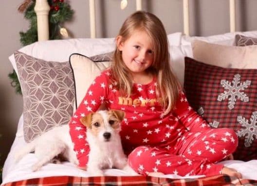 Parson Russell Terrier Puppies media 16