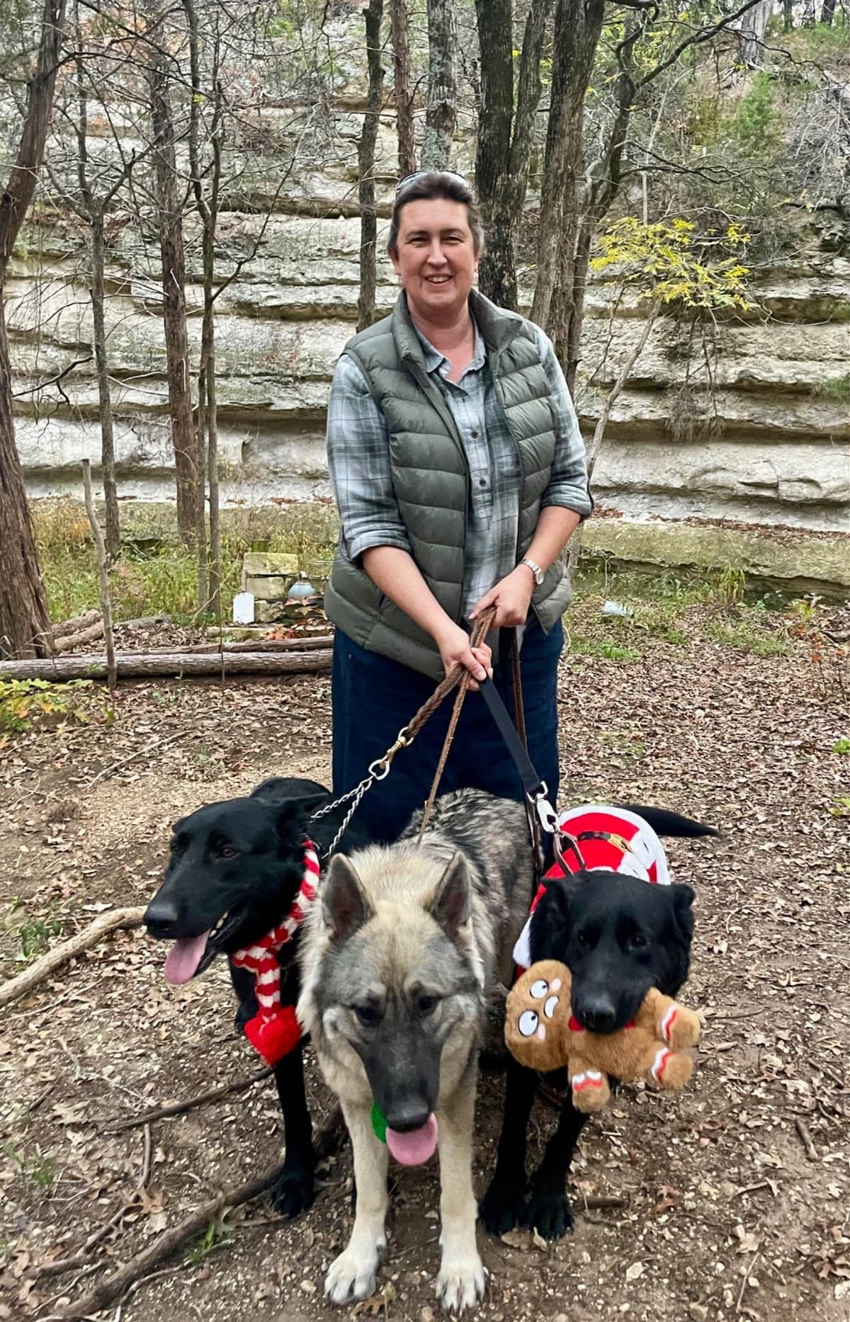 German Shepherd Dog Puppies breeder image 12