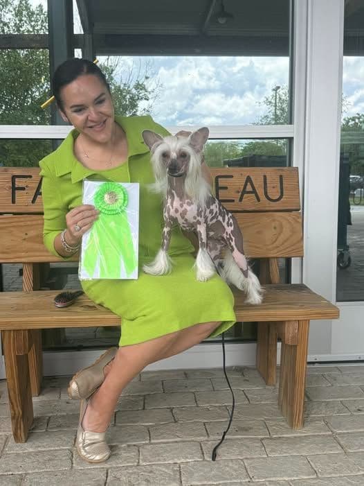 Chinese Crested Puppies breeder image 1