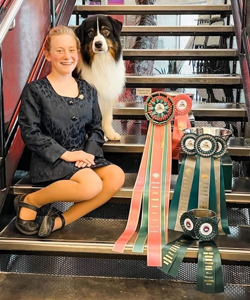 Champion Australian Shepherd puppies breeder image 1