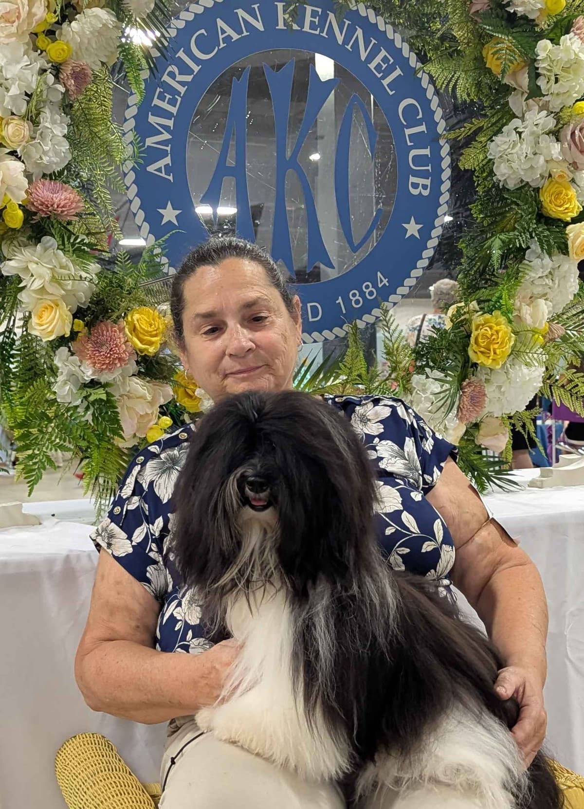 AKC Champion sired Havanese Puppies breeder image 21