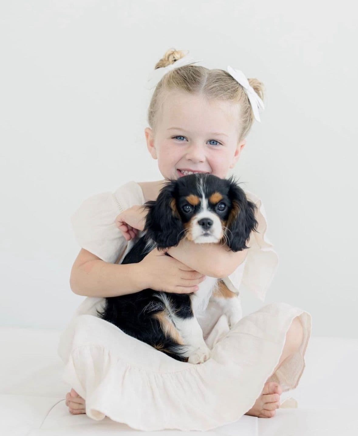 💛 Cavalier King Charles Spaniel Puppies🐶 breeder image 16