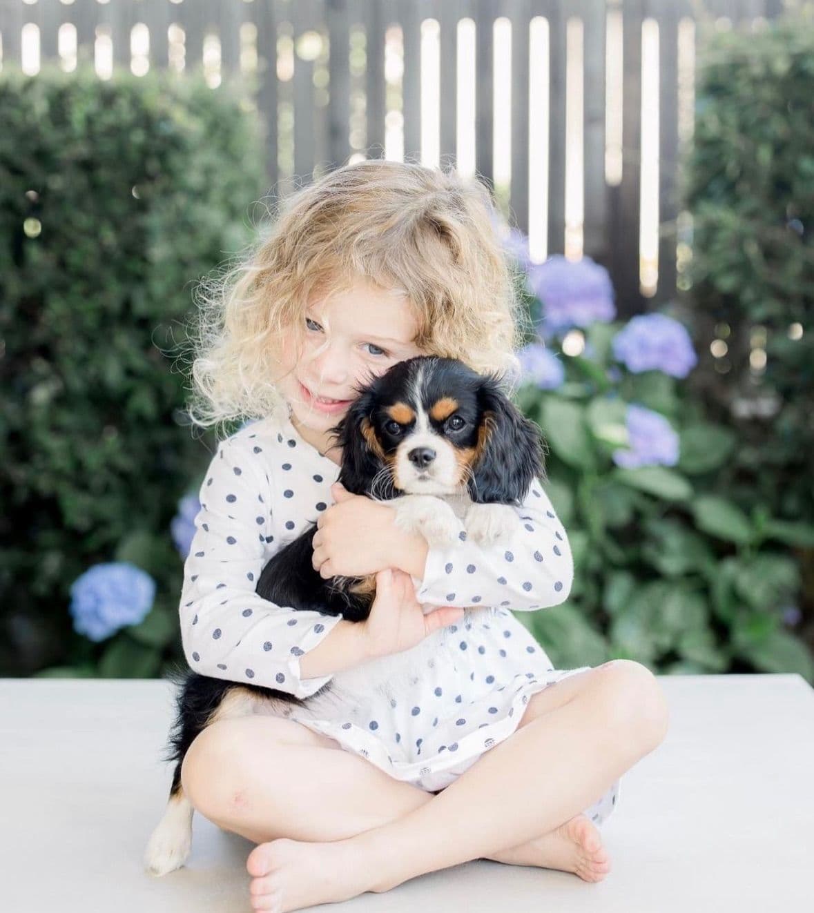 💛 Cavalier King Charles Spaniel Puppies🐶 breeder image 17