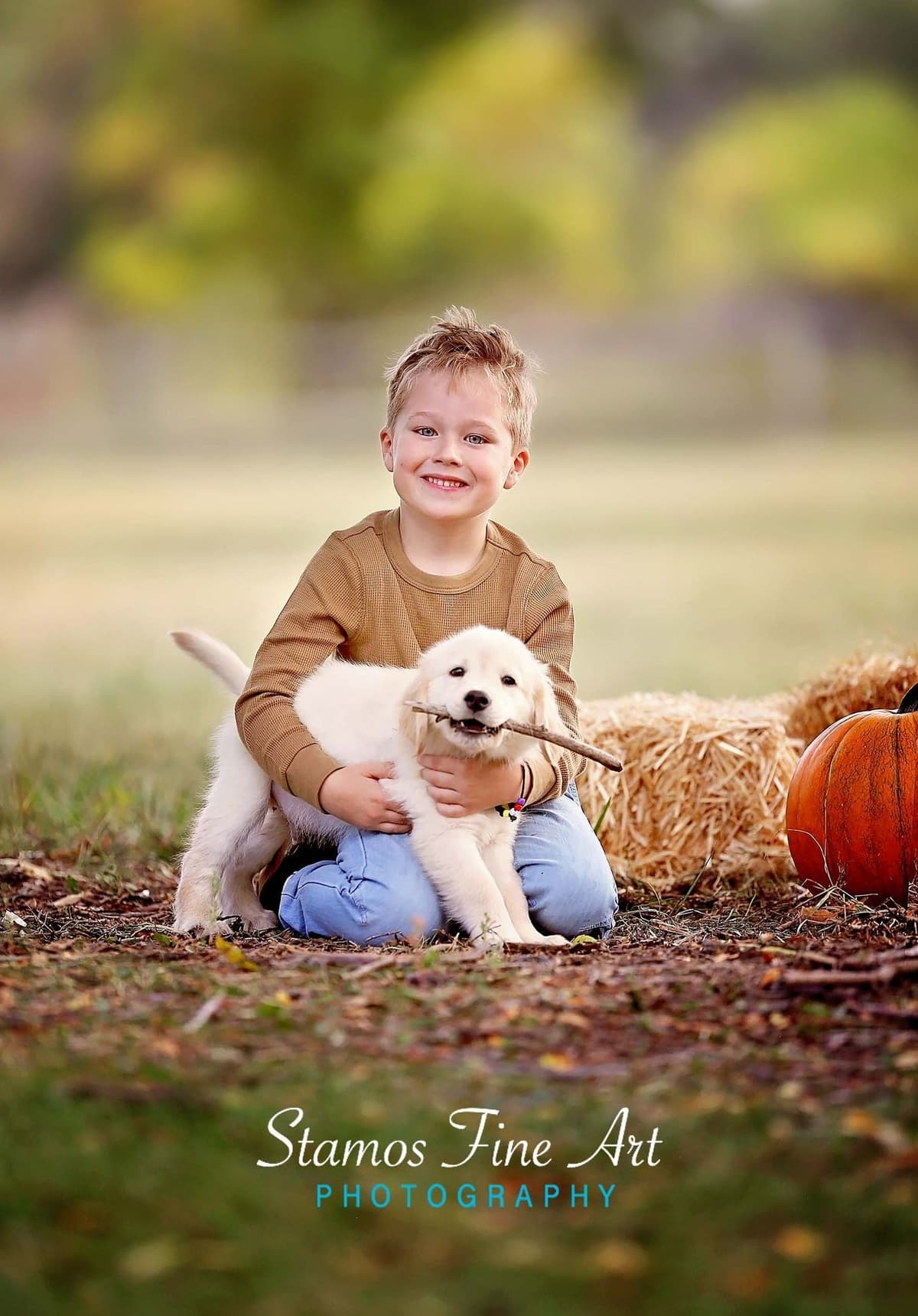 English Cream Golden Retriever Puppies breeder image 23
