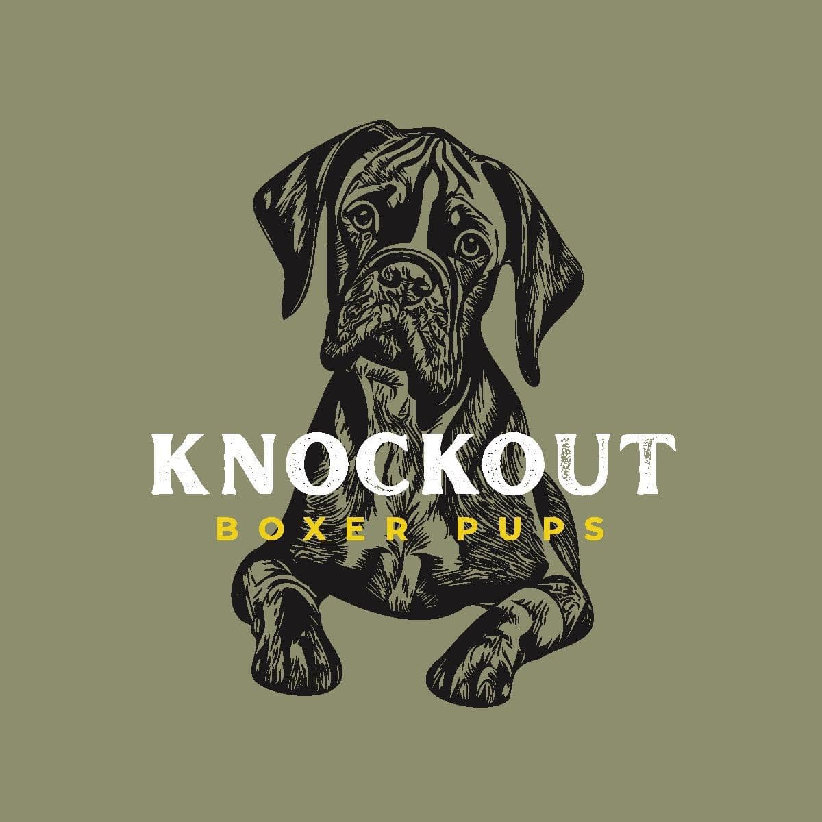Knockout Boxer Pups breeder image 1
