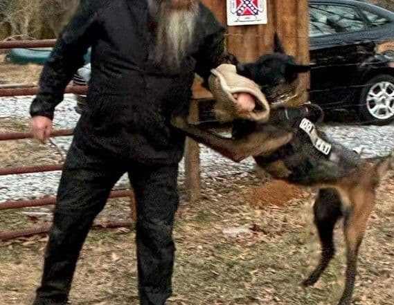 The Rebel Ranch - Belgian Malinois Puppies in N.E. MS media 13