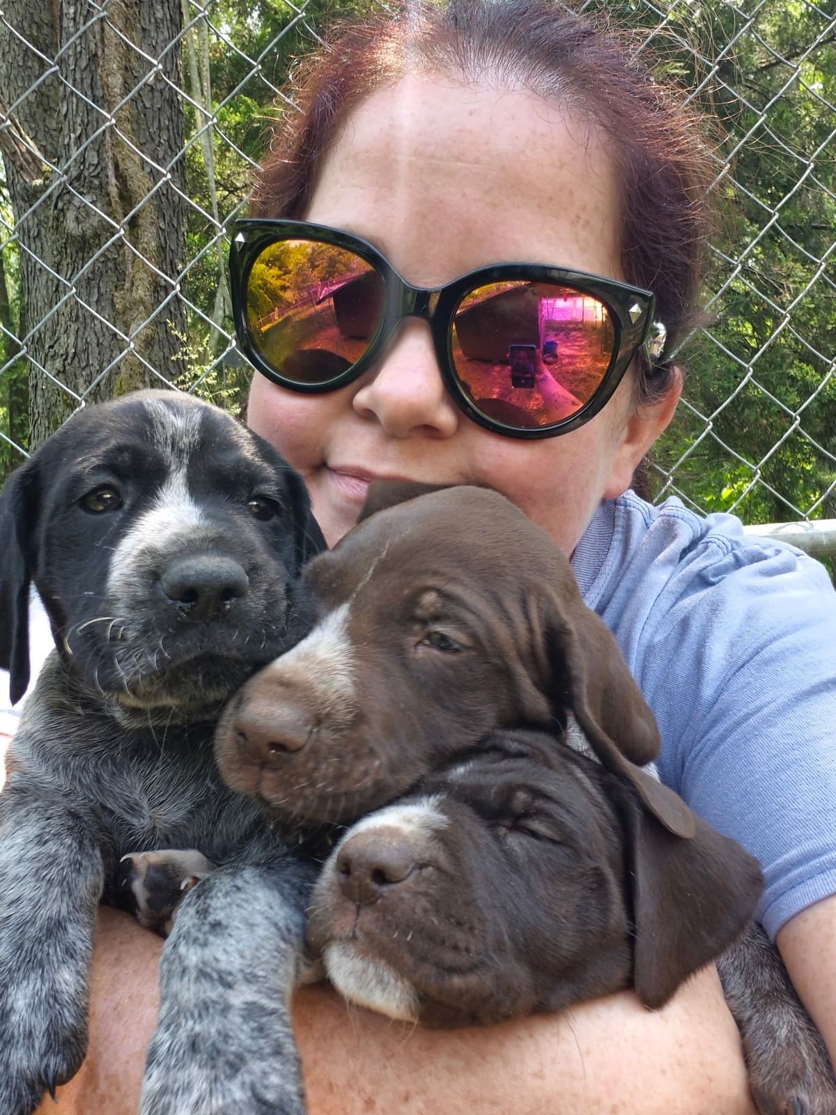 German Shorthaired Pointer Puppies breeder image 2