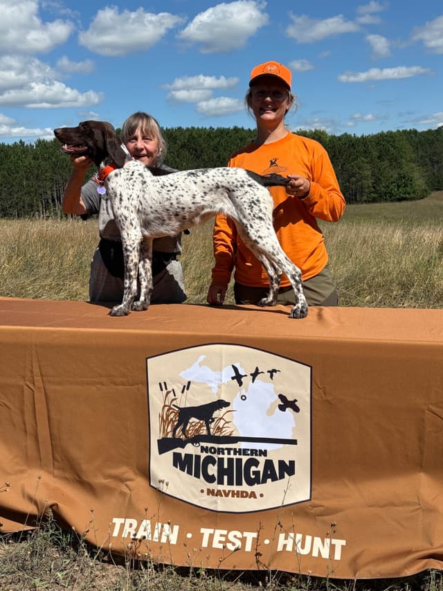 German Shorthaired Pointer Puppies media 4