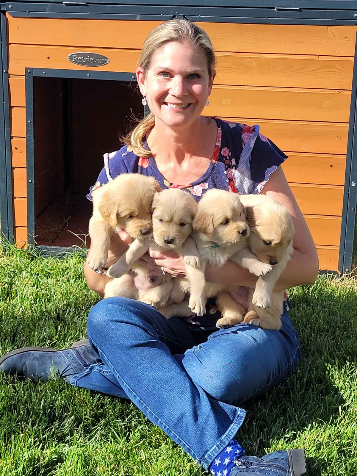 Golden Retriever Puppies breeder image 5