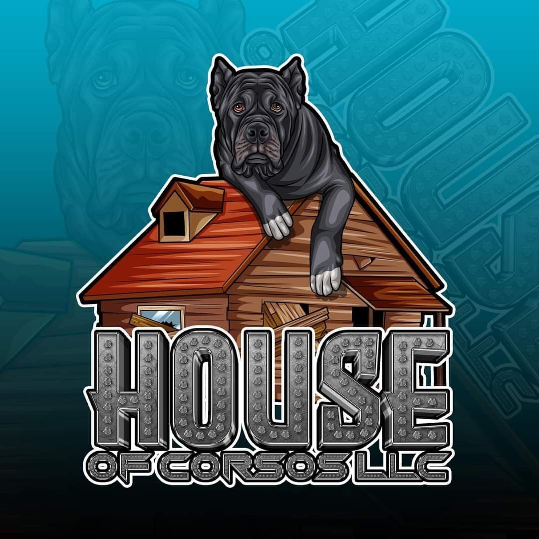 Cane Corso Puppies breeder image 13