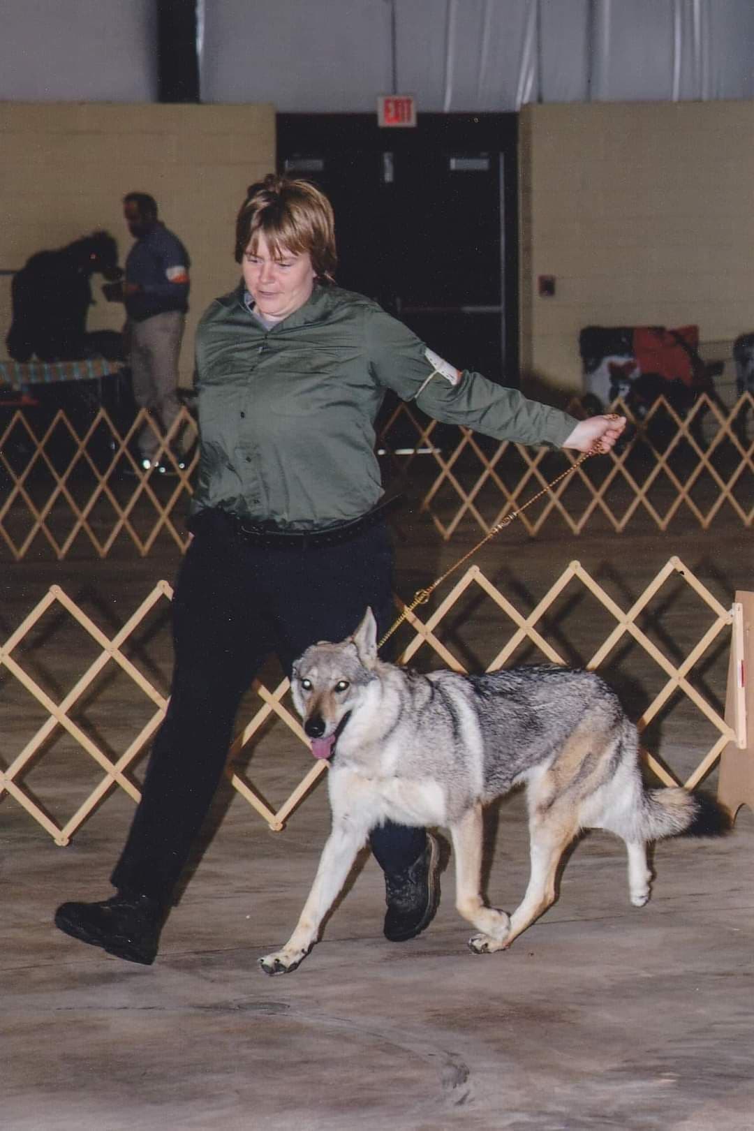 Older male Available breeder image 9