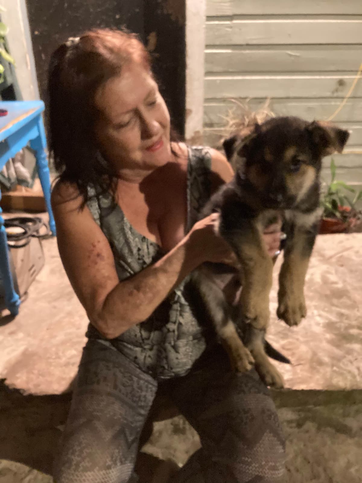 German Shepherd Dog Puppies breeder image 5