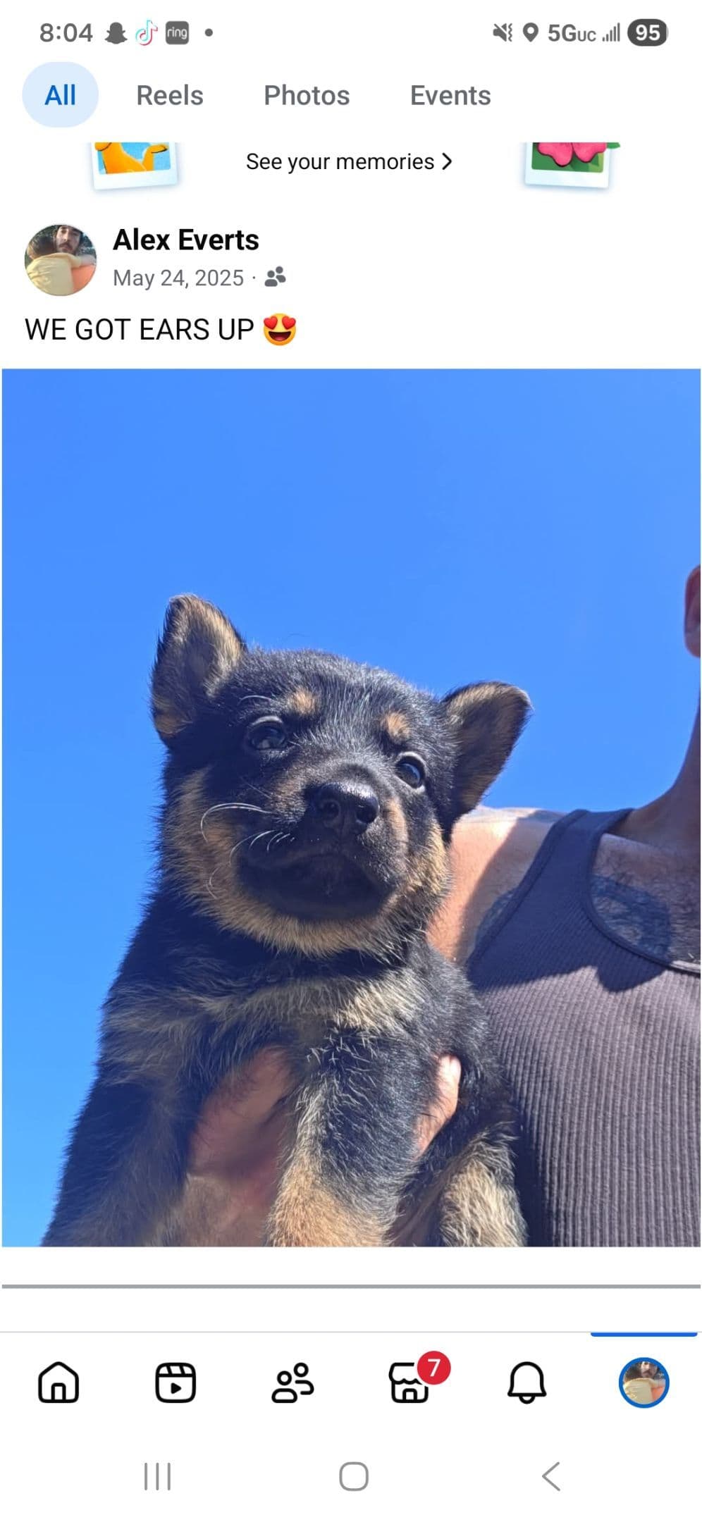 German Shepherd Dog Puppies breeder image 6