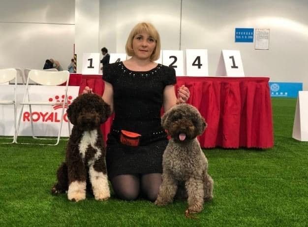Lagotto Romagnolo Puppies breeder image 1