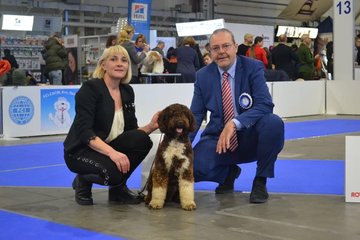 Lagotto Romagnolo Puppies breeder image 11
