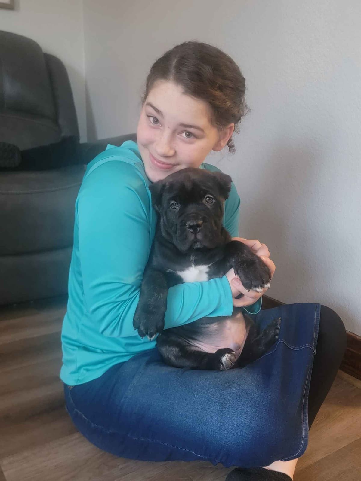 Scandifio Bloodlines! Puppies available now! breeder image 10