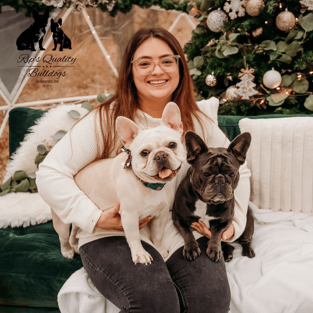 French Bulldog Puppies breeder image 7