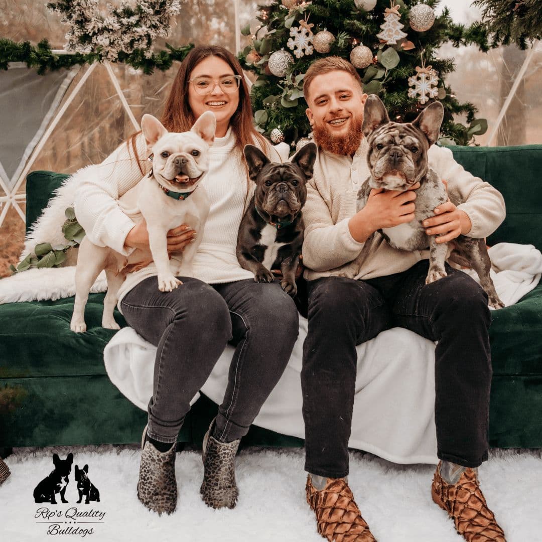 French Bulldog Puppies breeder image 1