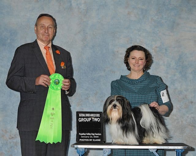 Havanese Puppies breeder image 1