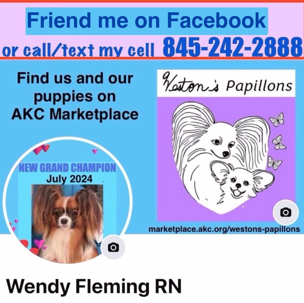 Shimmer & Willie puppies breeder image 1