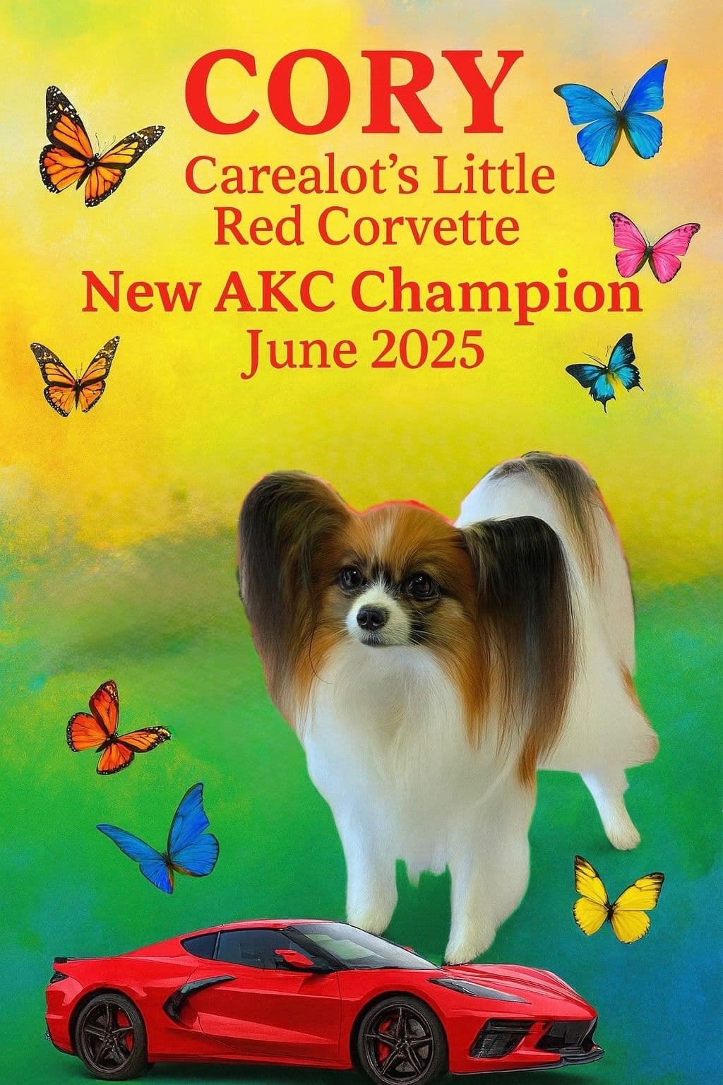 Shimmer & Willie puppies breeder image 13