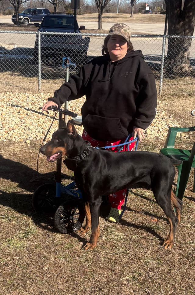 Doberman Pinscher Puppies media 10