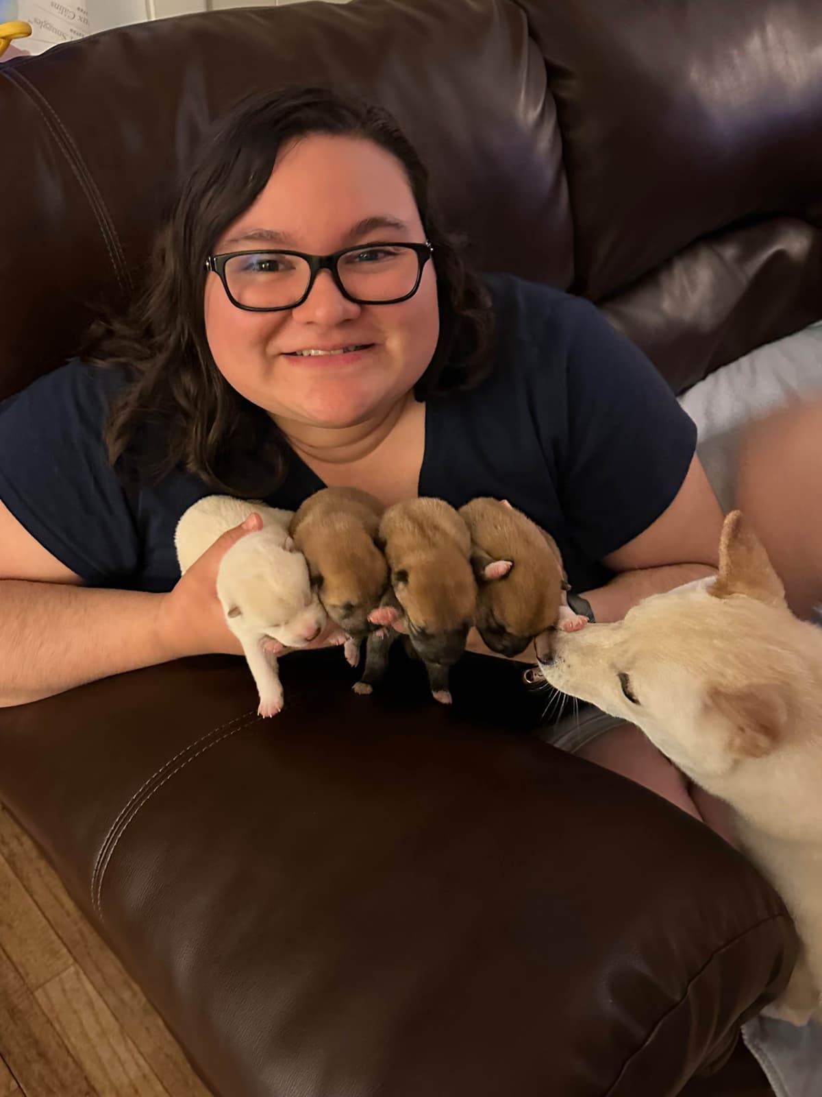 Shiba Inu Puppies breeder image 4