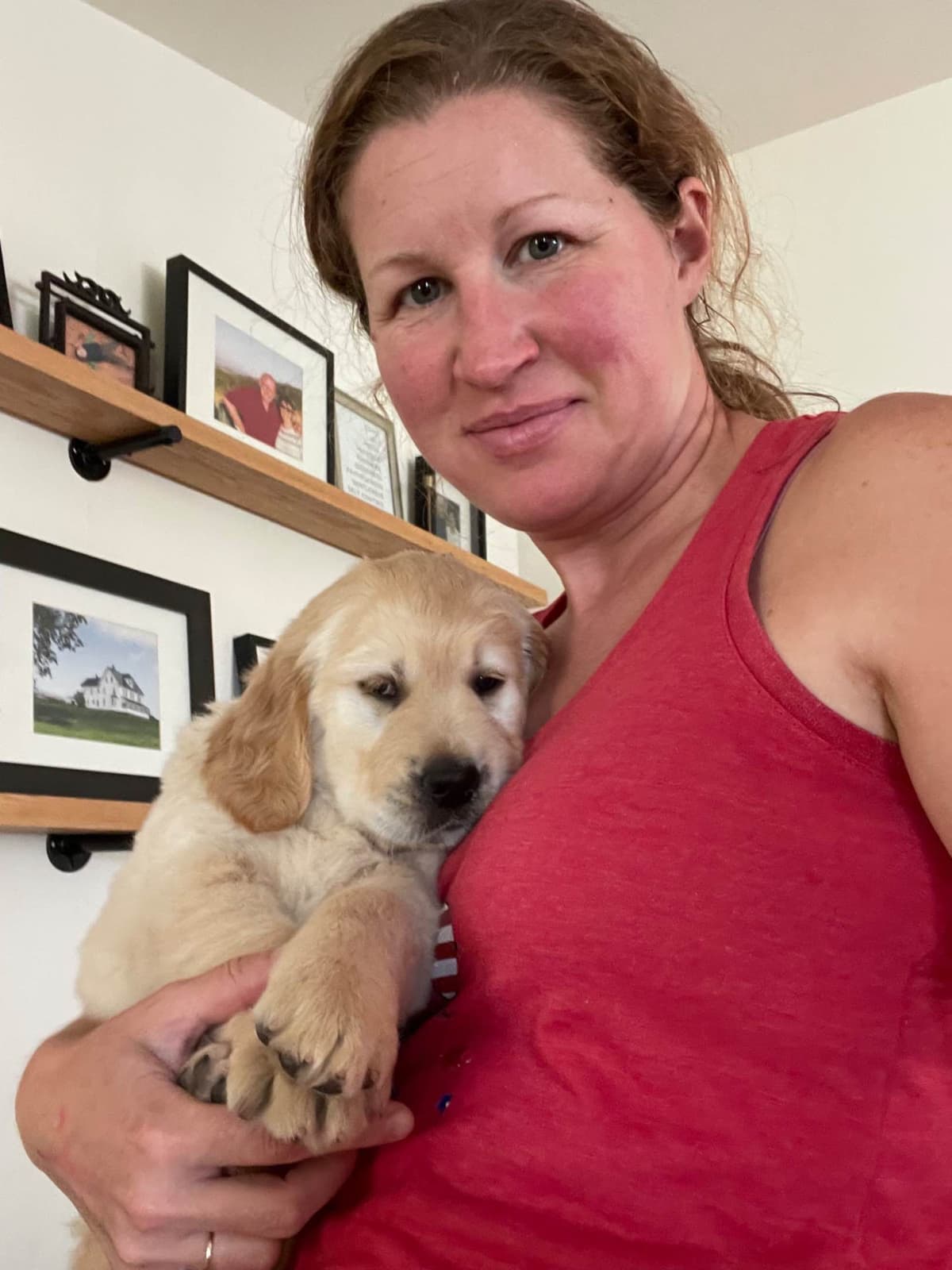 Montana Golden Retriever pups breeder image 9