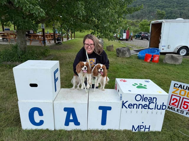 Cavalier King Charles Spaniel Puppies media 8