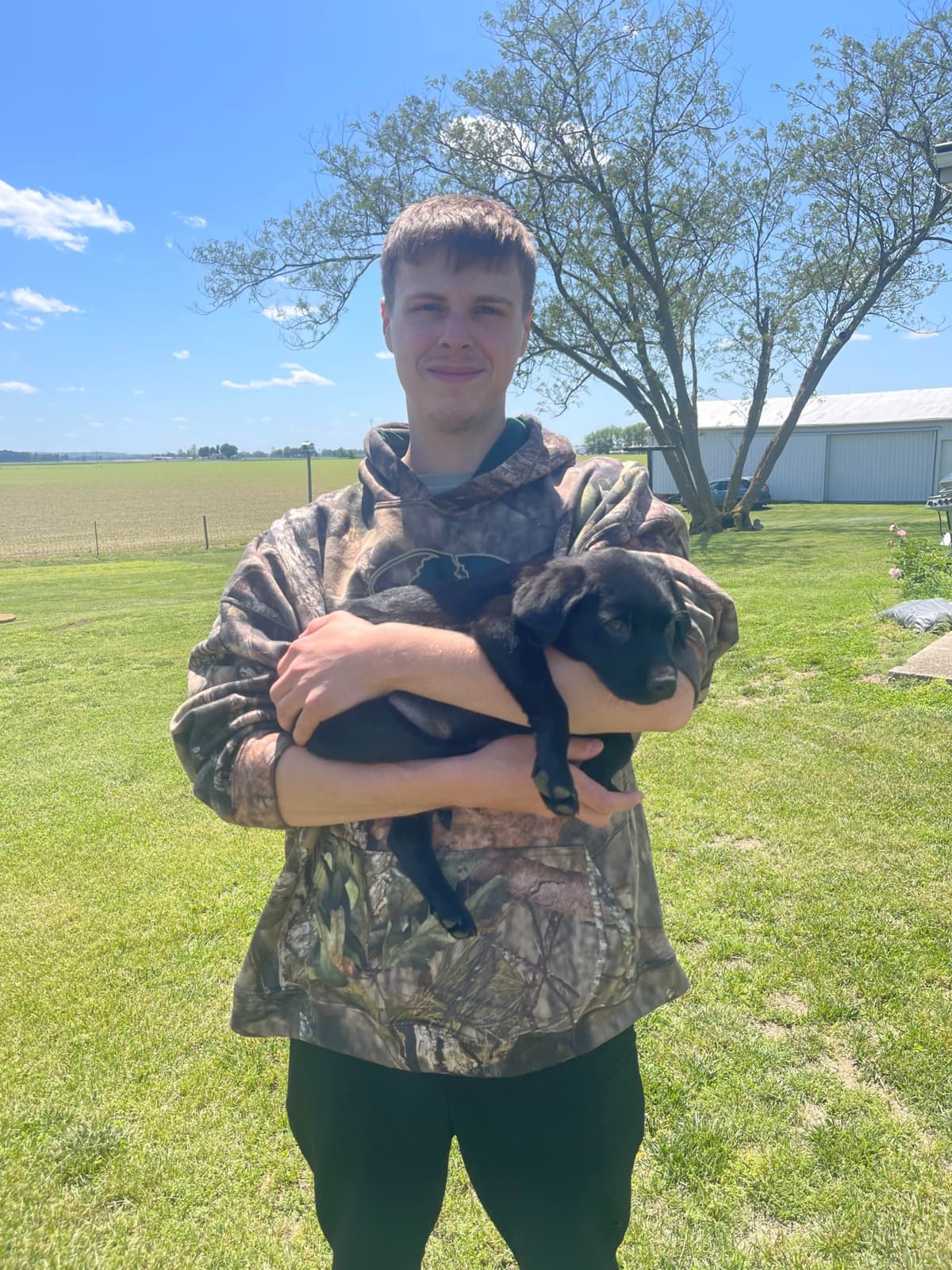 Labrador Retriever Puppies breeder image 10