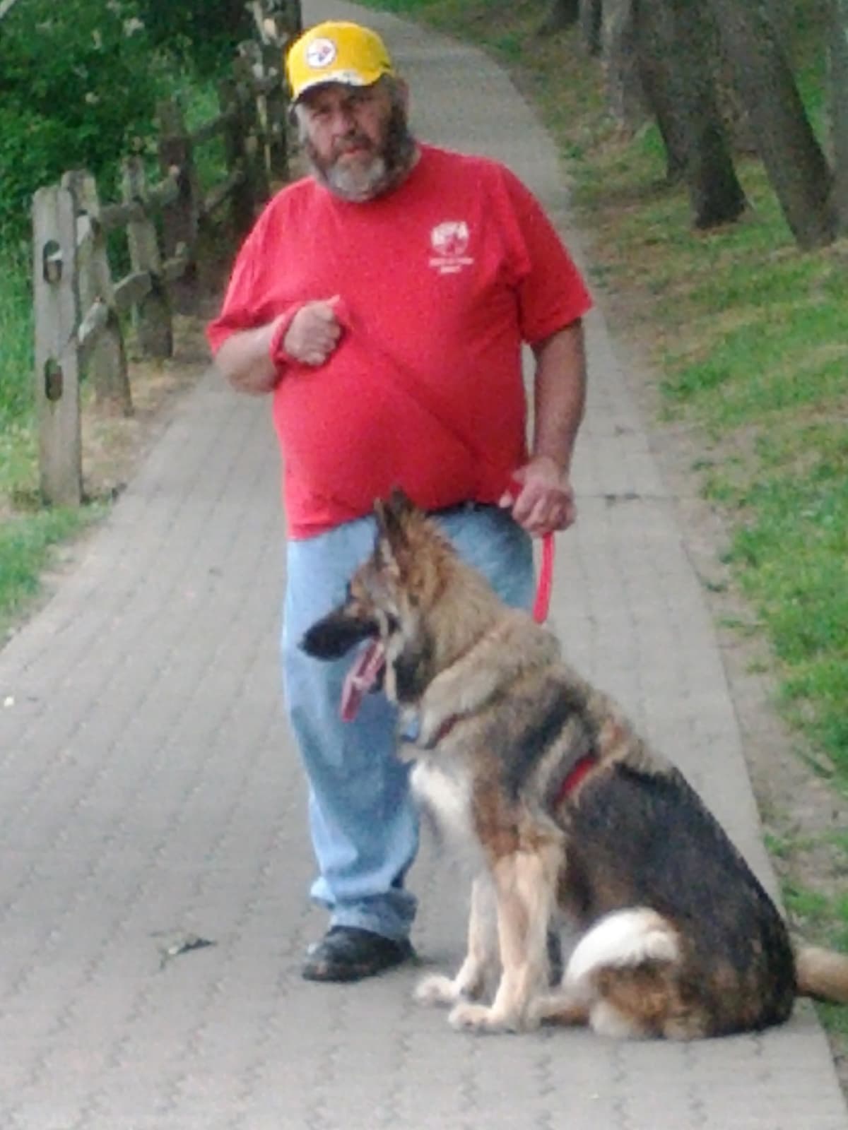 German Shepherd Dog Puppies breeder image 5