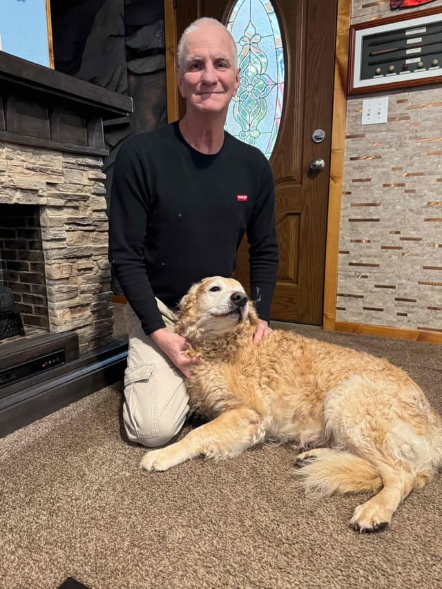 Golden Retriever Puppies media 4