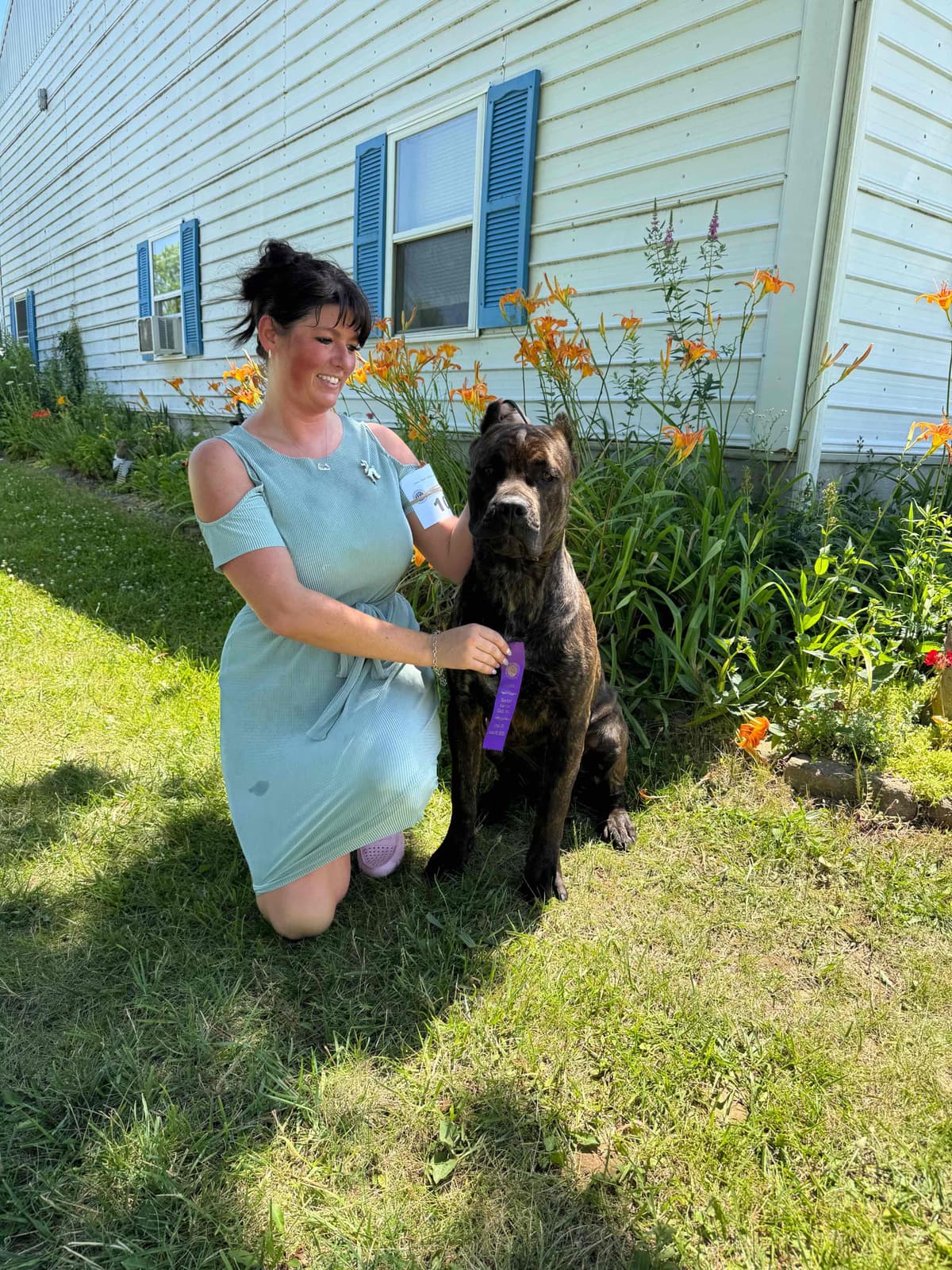 Cane Corso Puppies breeder image 2