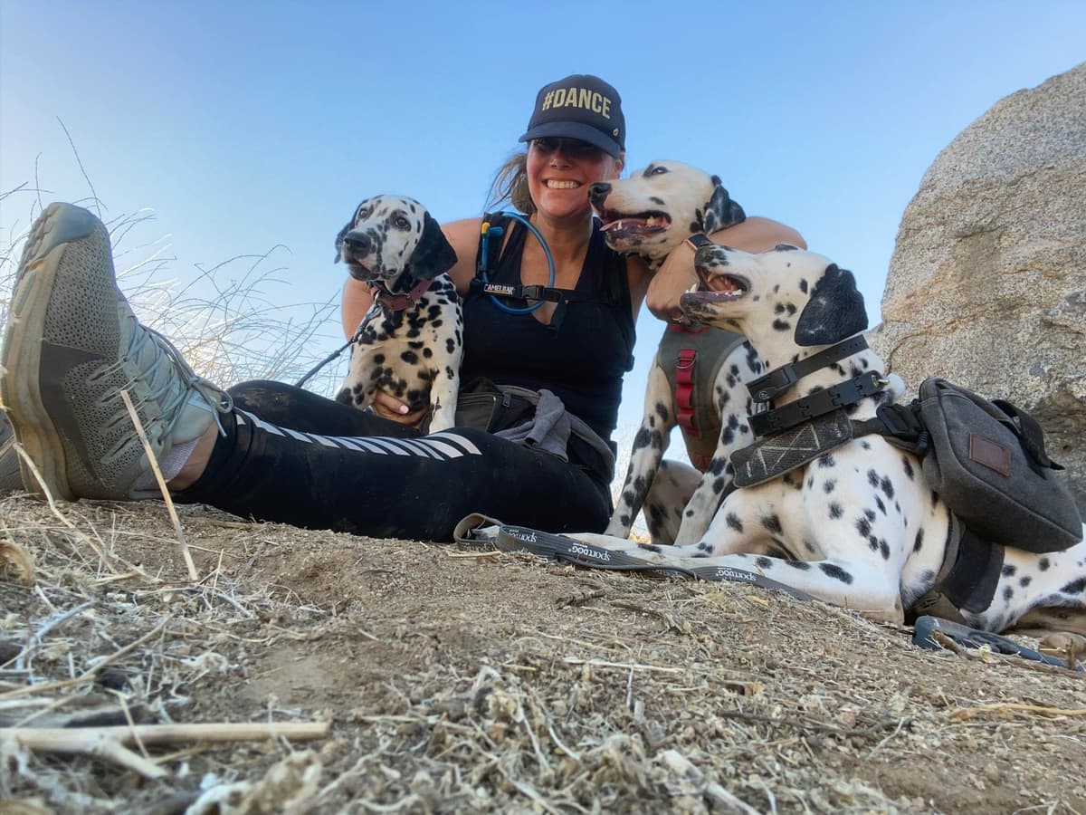 Beautiful Family Raised Dalmatian Puppies breeder image 2