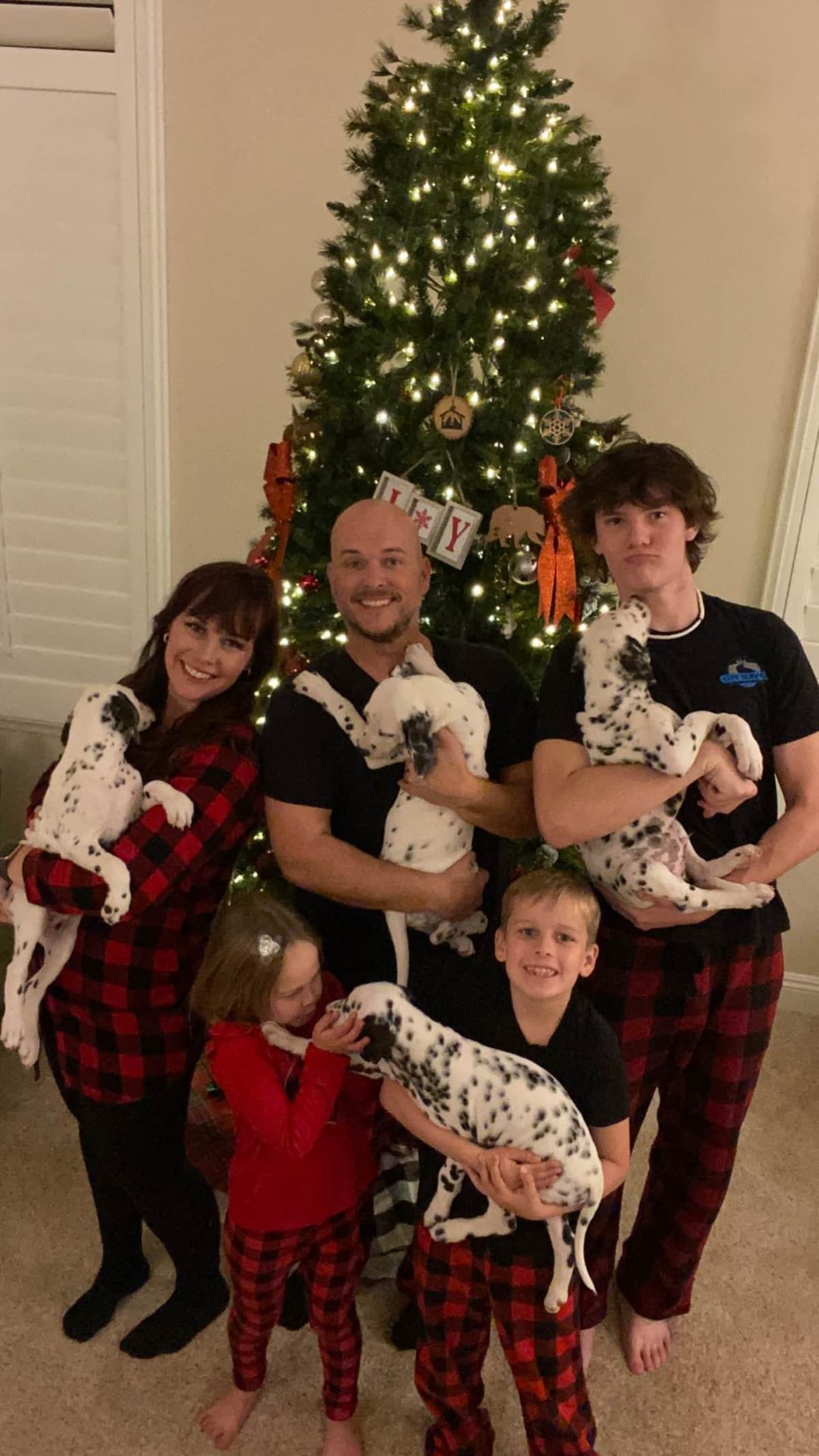 Beautiful Family Raised Dalmatian Puppies breeder image 3