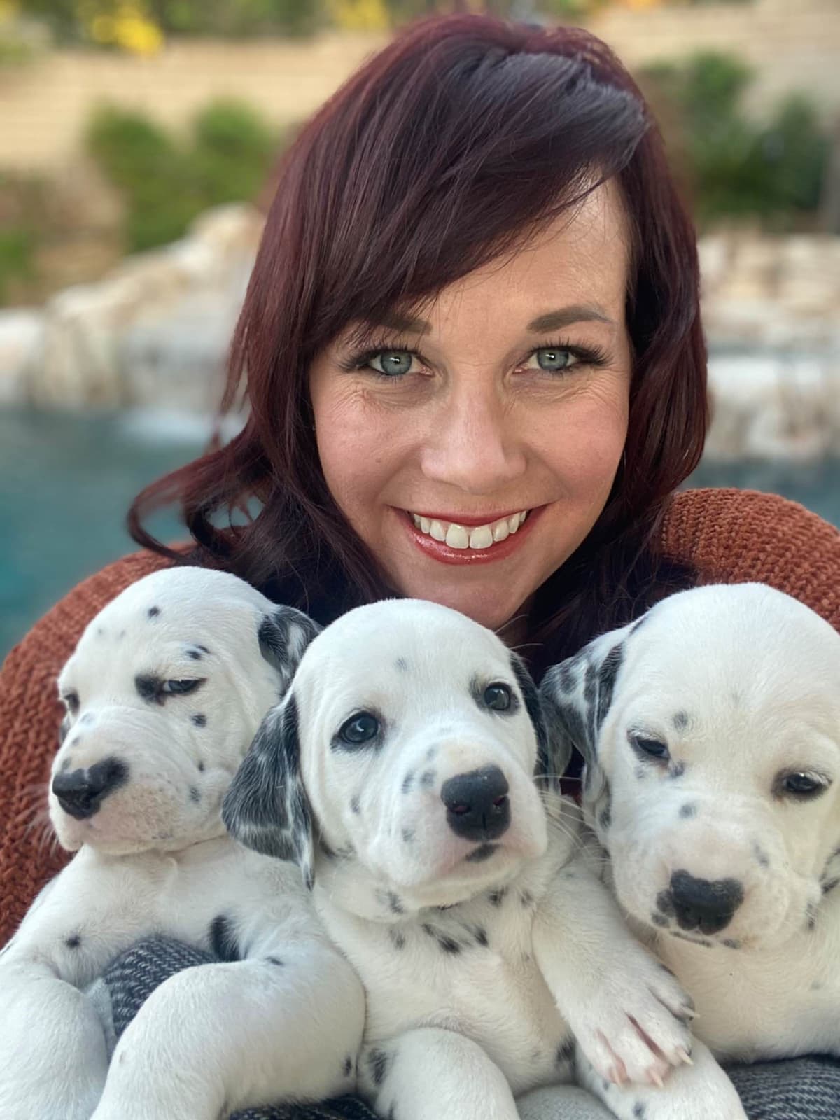 Beautiful Family Raised Dalmatian Puppies breeder image 4