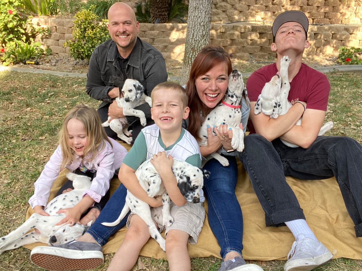 Beautiful Family Raised Dalmatian Puppies breeder image 9