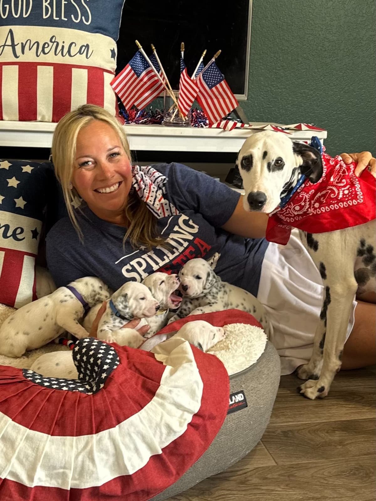 Beautiful Family Raised Dalmatian Puppies breeder image 13