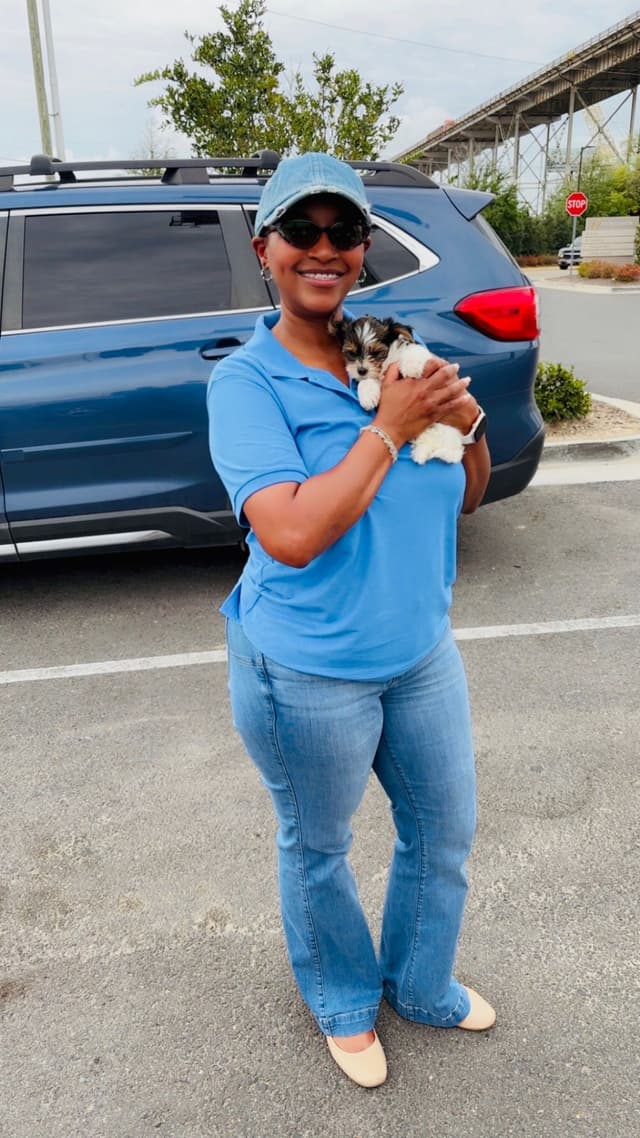 Yorkshire Terrier Puppies media 17