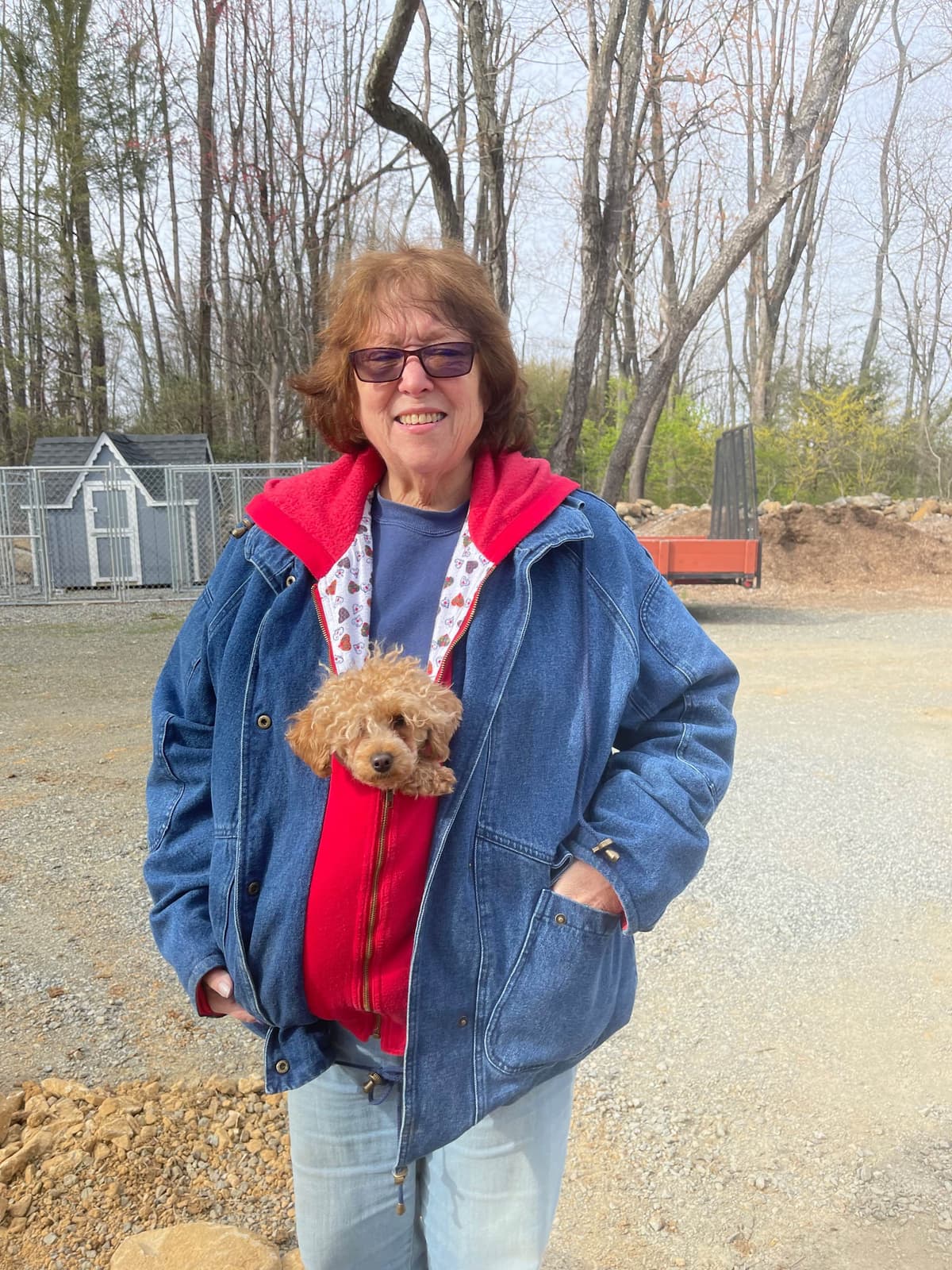 Poodle Puppies breeder image 13